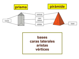 prisma pirámide
bases
caras laterales
aristas
vértices
 