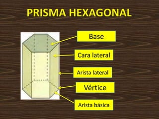 PRISMA HEXAGONALBaseCara lateralArista lateralVérticeArista básica