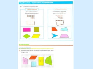 Heptágono: polígono de siete lados.