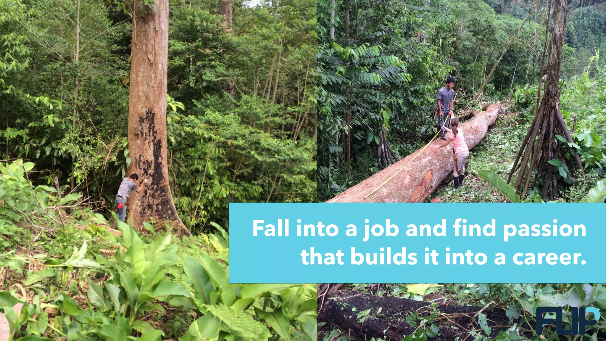 Fall into a job and find passion
that builds it into a career.