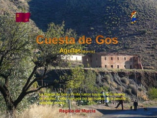Álbum de fotografías por apala La Cuesta de Gos y Pinilla fueron los ejes de la minería de Aguilas, y está marcada por las huellas de la pasada actividad minera. 