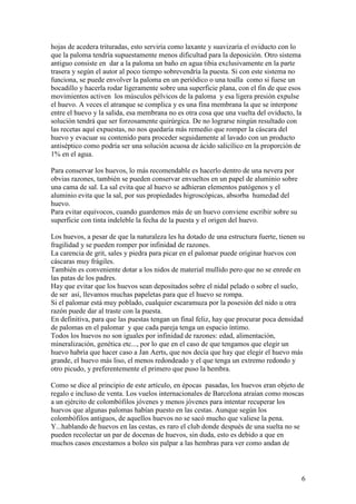 6
hojas de acedera trituradas, esto serviría como laxante y suavizaría el oviducto con lo
que la paloma tendría supuestamente menos dificultad para la deposición. Otro sistema
antiguo consiste en dar a la paloma un baño en agua tibia exclusivamente en la parte
trasera y según el autor al poco tiempo sobrevendría la puesta. Si con este sistema no
funciona, se puede envolver la paloma en un periódico o una toalla como si fuese un
bocadillo y hacerla rodar ligeramente sobre una superficie plana, con el fin de que esos
movimientos activen los músculos pélvicos de la paloma y esa ligera presión expulse
el huevo. A veces el atranque se complica y es una fina membrana la que se interpone
entre el huevo y la salida, esa membrana no es otra cosa que una vuelta del oviducto, la
solución tendrá que ser forzosamente quirúrgica. De no lograrse ningún resultado con
las recetas aquí expuestas, no nos quedaría más remedio que romper la cáscara del
huevo y evacuar su contenido para proceder seguidamente al lavado con un producto
antiséptico como podría ser una solución acuosa de ácido salicílico en la proporción de
1% en el agua.
Para conservar los huevos, lo más recomendable es hacerlo dentro de una nevera por
obvias razones, también se pueden conservar envueltos en un papel de aluminio sobre
una cama de sal. La sal evita que al huevo se adhieran elementos patógenos y el
aluminio evita que la sal, por sus propiedades higroscópicas, absorba humedad del
huevo.
Para evitar equívocos, cuando guardemos más de un huevo conviene escribir sobre su
superficie con tinta indeleble la fecha de la puesta y el origen del huevo.
Los huevos, a pesar de que la naturaleza les ha dotado de una estructura fuerte, tienen su
fragilidad y se pueden romper por infinidad de razones.
La carencia de grit, sales y piedra para picar en el palomar puede originar huevos con
cáscaras muy frágiles.
También es conveniente dotar a los nidos de material mullido pero que no se enrede en
las patas de los padres.
Hay que evitar que los huevos sean depositados sobre el nidal pelado o sobre el suelo,
de ser así, llevamos muchas papeletas para que el huevo se rompa.
Si el palomar está muy poblado, cualquier escaramuza por la posesión del nido u otra
razón puede dar al traste con la puesta.
En definitiva, para que las puestas tengan un final feliz, hay que procurar poca densidad
de palomas en el palomar y que cada pareja tenga un espacio íntimo.
Todos los huevos no son iguales por infinidad de razones: edad, alimentación,
mineralización, genética etc..., por lo que en el caso de que tengamos que elegir un
huevo habría que hacer caso a Jan Aerts, que nos decía que hay que elegir el huevo más
grande, el huevo más liso, el menos redondeado y el que tenga un extremo redondo y
otro picudo, y preferentemente el primero que puso la hembra.
Como se dice al principio de este artículo, en épocas pasadas, los huevos eran objeto de
regalo e incluso de venta. Los vuelos internacionales de Barcelona atraían como moscas
a un ejército de colombófilos jóvenes y menos jóvenes para intentar recuperar los
huevos que algunas palomas habían puesto en las cestas. Aunque según los
colombófilos antiguos, de aquellos huevos no se sacó mucho que valiese la pena.
Y...hablando de huevos en las cestas, es raro el club donde después de una suelta no se
pueden recolectar un par de docenas de huevos, sin duda, esto es debido a que en
muchos casos encestamos a boleo sin palpar a las hembras para ver como andan de
 
