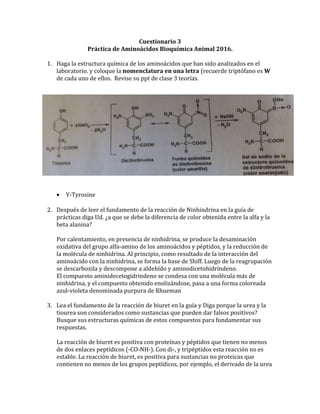 Cuestionario 3
Práctica de Aminoácidos Bioquímica Animal 2016.
1. Haga la estructura química de los aminoácidos que han sido analizados en el
laboratorio. y coloque la nomenclatura en una letra (recuerde triptófano es W
de cada uno de ellos. Revise su ppt de clase 3 teorías.
• Y-Tyrosine
2. Después de leer el fundamento de la reacción de Ninhindrina en la guía de
prácticas diga Ud. ¿a que se debe la diferencia de color obtenida entre la alfa y la
beta alanina?
Por calentamiento, en presencia de ninhidrina, se produce la desaminación
oxidativa del grupo alfa-amino de los aminoácidos y péptidos, y la reducción de
la molécula de ninhidrina. Al principio, como resultado de la interacción del
aminoácido con la ninhidrina, se forma la base de Shiff. Luego de la reagrupación
se descarboxila y descompone a aldehído y aminodicetohidrindeno.
El compuesto aminidecetogidrindeno se condesa con una molécula más de
ninhidrina, y el compuesto obtenido enolizándose, pasa a una forma coloreada
azul-violeta denominada purpura de Rhueman
3. Lea el fundamento de la reacción de biuret en la guía y Diga porque la urea y la
tiourea son considerados como sustancias que pueden dar falsos positivos?
Busque sus estructuras químicas de estos compuestos para fundamentar sus
respuestas.
La reacción de biuret es positiva con proteínas y péptidos que tienen no menos
de dos enlaces peptídicos (-CO-NH-). Con di-, y tripéptidos esta reacción no es
estable. La reacción de biuret, es positiva para sustancias no proteicas que
contienen no menos de los grupos peptídicos, por ejemplo, el derivado de la urea
 