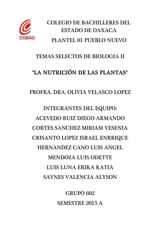COLEGIO DE BACHILLERES DEL
ESTADO DE OAXACA
PLANTEL 01 PUEBLO NUEVO
TEMAS SELECTOS DE BIOLOGIA II
"LA NUTRICIÓN DE LAS PLANTAS"
PROFRA. DRA. OLIVIA VELASCO LOPEZ
INTEGRANTES DEL EQUIPO:
ACEVEDO RUIZ DIEGO ARMANDO
CORTES SANCHEZ MIRIAM YESENIA
CRISANTO LOPEZ ISRAEL ENRRIQUE
HERNANDEZ CANO LUIS ANGEL
MENDOZA LUIS ODETTE
LUIS LUNA ERIKA KATIA
SAYNES VALENCIA ALYSON
GRUPO 602
SEMESTRE 2015 A
 