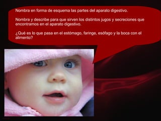Nombra en forma de esquema las partes del aparato digestivo. Nombra y describe para que sirven los distintos jugos y secreciones que encontramos en el aparato digestivo. ¿Qué es lo que pasa en el estómago, faringe, esófago y la boca con el alimento? 