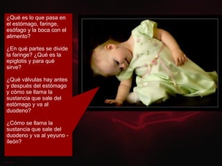 ¿Qué es lo que pasa en el estómago, faringe, esófago y la boca con el alimento? ¿En qué partes se divide la faringe? ¿Qué es la epiglotis y para qué sirve? ¿Qué válvulas hay antes y después del estómago y cómo se llama la sustancia que sale del estómago y va al duodeno?  ¿Cómo se llama la sustancia que sale del duodeno y va al yeyuno - íleón? 