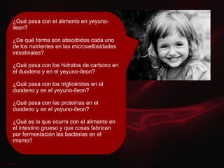 ¿Qué pasa con el alimento en yeyuno-ileon? ¿De qué forma son absorbidos cada uno de los nutrientes en las microvellosidades intestinales? ¿Qué pasa con los hidratos de carbono en el duodeno y en el yeyuno-íleon? ¿Qué pasa con los triglicéridos en el duodeno y en el yeyuno-íleon? ¿Qué pasa con las proteínas en el duodeno y en el yeyuno-íleon? ¿Qué es lo que ocurre con el alimento en el intestino grueso y que cosas fabrican por fermentación las bacterias en el mismo? 