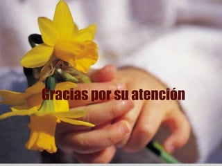 Gracias por su atención
 