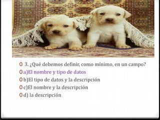 0 3. ¿Qué debemos definir, como mínimo, en un campo?
0 a)El nombre y tipo de datos
0 b)El tipo de datos y la descripción
0 c)El nombre y la descripción
0 d) la descripción
 