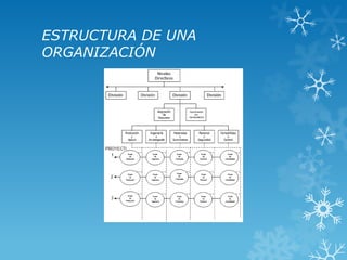 ESTRUCTURA DE UNA
ORGANIZACIÓN
 