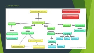 6. MAPA CONCEPTUAL
 