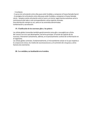 - 5 lumbares
- 5 sacras (sin articulación entre ellas pues están fundidas y componen el hueso llamado Sacro)
- 4 coccígeas (sin articulación entre ellas pues están fundidas y componen el hueso llamado
cóccix - tampoco existe articulación entre el sacro y el cóccix; según teorías evolutivas sería la
reminiscencia del rabo o cola correspondiente a otras especies animales
Esta distribución siempre es así, salvo en las anomalías denominadas
lumbarización y sacralización.
19. Clasificación de las neuronas glías y las polares
Las células gliales (conocidas también genéricamente como glía o neuroglía) son células
del sistema nervioso que desempeñan, de forma principal, la función de soporte de las
neuronas; intervienen activamente, además, en el procesamiento cerebral de la información en
el organismo.
Las células gliales controlan, fundamentalmente, el microambiente celular en lo que respecta a
la composición iónica, los niveles de neurotransmisores y el suministro de citoquinas y otros
factores de crecimiento.
20. Los sentidos y su localización en el cerebro.
 