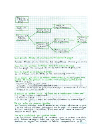 Cuestionario de finanzas internacionales ii