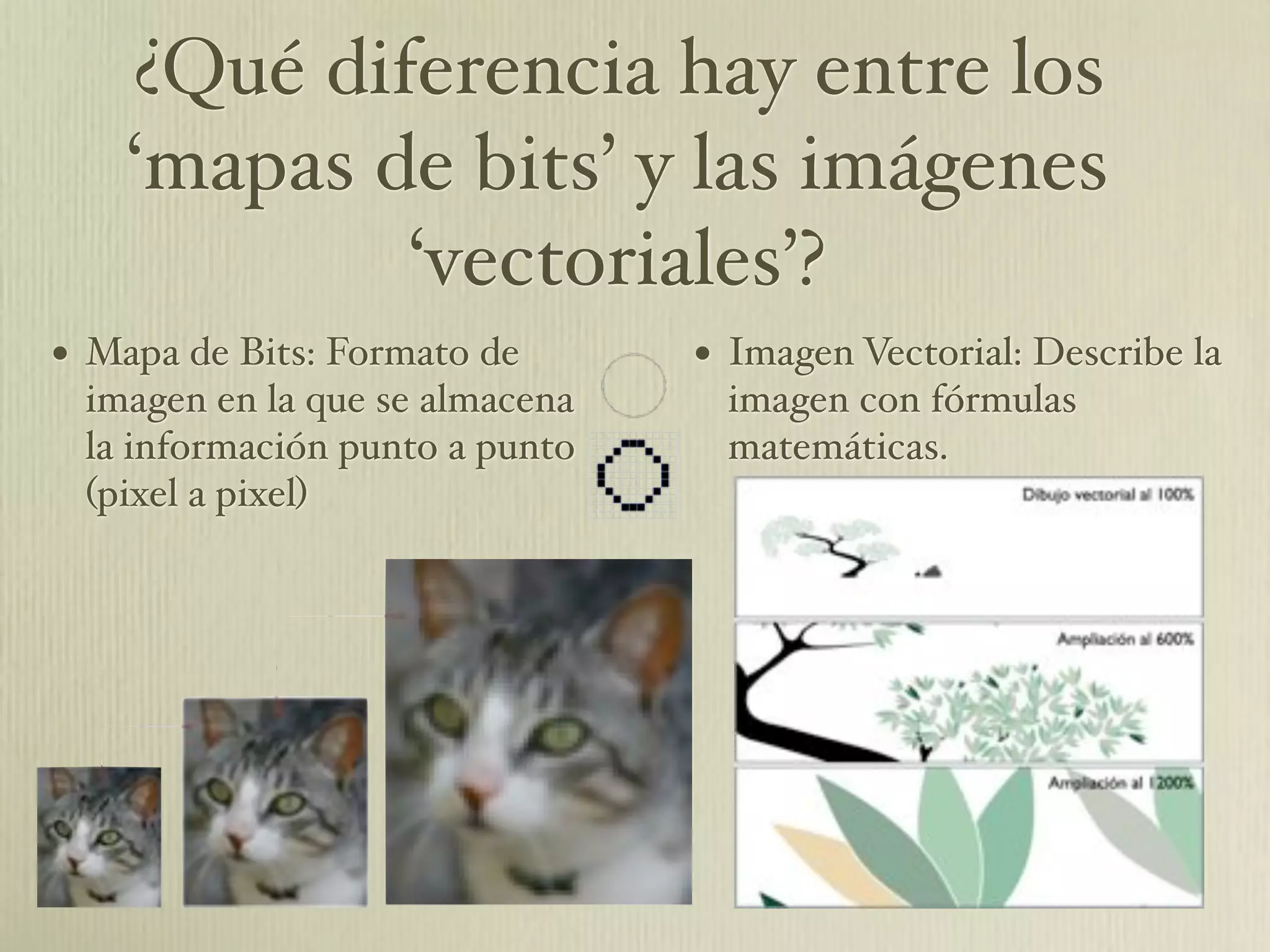 Cuestionario De Hardware Y Software