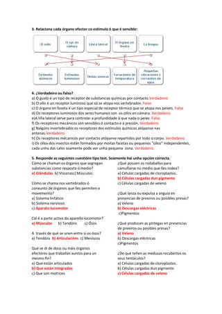 3. Relaciona cada órgano efector co estímulo ó que é sensible:
4. ¿Verdadeiro ou falso?
a) O gusto é un tipo de receptor d...