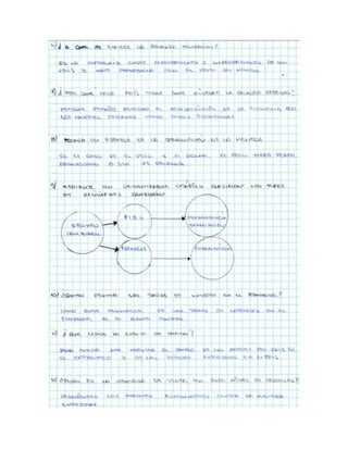 Cuestionario finanzas