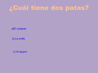 ¿Cuál tiene dos patas?


a)El ciempies



b) La araña




 c) Un pajaro
 