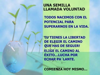 UNA SEMILLA
LLAMADA VOLUNTAD
TODOS NACEMOS CON EL
POTENCIAL PARA
SUPERARNOS EN LA VIDA.
TU TIENES LA LIBERTAD
DE ELEGIR EL CAMINO
QUE HAS DE SEGUIR!
ELIGE EL CAMINO AL
ÉXITO…LUCHA POR
ECHAR PA´LANTE.
COMIENZA HOY MISMO…
 