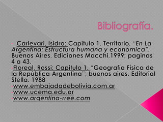 Las autoridades argentinas se comprometieron a realizar por su cuenta los estudios y proyectos necesarios para poner en condiciones de navegabilidad el Bermejo, desde su desembocadura en el río Paraguay hasta las juntas de San Antonio, así como la construcción de un puerto en el último punto.