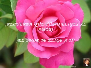 ¡RECUERDA QUE TÚ NO ELIGES AL AMOR! ¡EL AMOR TE ELIGE A TÍ! Camille [email_address] 