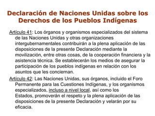 Declaración de Naciones Unidas sobre los
   Derechos de los Pueblos Indígenas
Artículo 41: Los órganos y organismos especializados del sistema
   de las Naciones Unidas y otras organizaciones
   intergubernamentales contribuirán a la plena aplicación de las
   disposiciones de la presente Declaración mediante la
   movilización, entre otras cosas, de la cooperación financiera y la
   asistencia técnica. Se establecerán los medios de asegurar la
   participación de los pueblos indígenas en relación con los
   asuntos que les conciernan.
Artículo 42: Las Naciones Unidas, sus órganos, incluido el Foro
   Permanente para las Cuestiones Indígenas, y los organismos
   especializados, incluso a nivel local, así como los
   Estados, promoverán el respeto y la plena aplicación de las
   disposiciones de la presente Declaración y velarán por su
   eficacia.
 