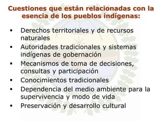 Cuestiones que están relacionadas con la
   esencia de los pueblos indígenas:

   Derechos territoriales y de recursos
    naturales
   Autoridades tradicionales y sistemas
    indígenas de gobernación
   Mecanismos de toma de decisiones,
    consultas y participación
   Conocimientos tradicionales
   Dependencia del medio ambiente para la
    supervivencia y modo de vida
   Preservación y desarrollo cultural
 