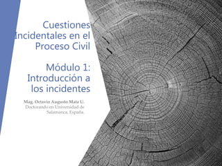 Cuestiones
Incidentales en el
Proceso Civil
Módulo 1:
Introducción a
los incidentes
Mag. Octavio Augusto Mata U.
Doctorando en Universidad de
Salamanca, España.
 