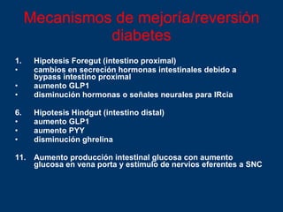 Mecanismos de mejoría/reversión diabetes Hipotesis Foregut (intestino proximal) cambios en secreción hormonas intestinales debido a bypass intestino proximal aumento GLP1 disminución hormonas o señales neurales para IRcia Hipotesis Hindgut (intestino distal) aumento GLP1 aumento PYY disminución ghrelina Aumento producción intestinal glucosa con aumento glucosa en vena porta y estímulo de nervios eferentes a SNC 