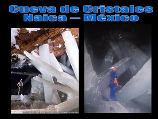 Cueva de Cristales Naica – México  