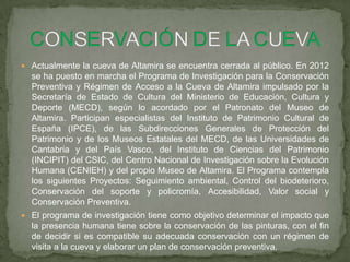  Actualmente la cueva de Altamira se encuentra cerrada al público. En 2012
se ha puesto en marcha el Programa de Investigación para la Conservación
Preventiva y Régimen de Acceso a la Cueva de Altamira impulsado por la
Secretaría de Estado de Cultura del Ministerio de Educación, Cultura y
Deporte (MECD), según lo acordado por el Patronato del Museo de
Altamira. Participan especialistas del Instituto de Patrimonio Cultural de
España (IPCE), de las Subdirecciones Generales de Protección del
Patrimonio y de los Museos Estatales del MECD, de las Universidades de
Cantabria y del País Vasco, del Instituto de Ciencias del Patrimonio
(INCIPIT) del CSIC, del Centro Nacional de Investigación sobre la Evolución
Humana (CENIEH) y del propio Museo de Altamira. El Programa contempla
los siguientes Proyectos: Seguimiento ambiental, Control del biodeterioro,
Conservación del soporte y policromía, Accesibilidad, Valor social y
Conservación Preventiva.
 El programa de investigación tiene como objetivo determinar el impacto que
la presencia humana tiene sobre la conservación de las pinturas, con el fin
de decidir si es compatible su adecuada conservación con un régimen de
visita a la cueva y elaborar un plan de conservación preventiva.
 
