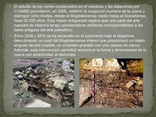  El estudio de los cortes conservados en el vestíbulo y las dataciones por
C14AMS permitieron, en 2006, redefinir la ocupación humana de la cueva y
distinguir ocho niveles, desde el Magdaleniense medio hasta el Gravetiense,
hace 22.000 años. Esta mayor antigüedad explica que una parte del arte
rupestre de Altamira tenga características artísticas correspondientes a las
fases antiguas del arte paleolítico.
 Entre 2008 y 2010 se ha excavado en el yacimiento bajo el desplome,
descubriendo un nivel del Magdaleniense inferior que proporcionó un objeto
singular de arte mueble, un omóplato grabado con una cabeza de cierva.
Además, esta intervención permitirá reconstruir la forma y dimensiones de la
cueva con anterioridad al derrumbe.
 