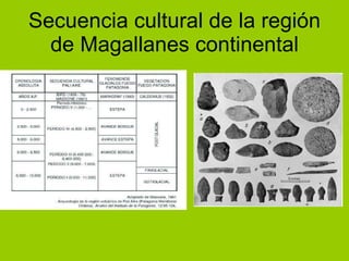 Secuencia cultural de la regi ón de Magallanes continental 