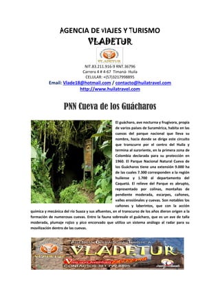 AGENCIA DE VIAJES Y TURISMO
VLADETUR
NIT.83.211.916-9 RNT.36796
Carrera 4 # 4-67 Timaná- Huila
CELULAR: +(57)3217998895
Email: Vlade18@hotmail.com / contacto@huilatravel.com
http://www.huilatravel.com
PNN Cueva de los Guácharos
El guácharo, ave nocturna y frugívora, propia
de varios países de Suramérica, habita en las
cuevas del parque nacional que lleva su
nombre, hacia donde se dirige este circuito
que transcurre por el centro del Huila y
termina al suroriente, en la primera zona de
Colombia declarada para su protección en
1960. El Parque Nacional Natural Cueva de
los Guácharos tiene una extensión 9.000 ha
de las cuales 7.300 corresponden a la región
huilense y 1.700 al departamento del
Caquetá. El relieve del Parque es abrupto,
representado por colinas, montañas de
pendiente moderada, escarpes, cañones,
valles erosiónales y cuevas. Son notables los
cañones y laberintos, que con la acción
química y mecánica del río Suaza y sus afluentes, en el transcurso de los años dieron origen a la
formación de numerosas cuevas. Entre la fauna sobresale el guácharo, que es un ave de talla
moderada, plumaje rojizo y pico encorvado que utiliza un sistema análogo al radar para su
movilización dentro de las cuevas.
 