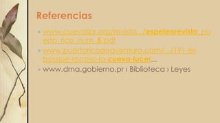 Referencias
 www.cuevaspr.org/revista.../espeleorevista_pu
erto_rico_num_5.pdf
 www.puertoricodeaventura.com/.../191-el-
bosque-rocoso-la-cueva-lucer...
 www.drna.gobierno.pr › Biblioteca › Leyes
 