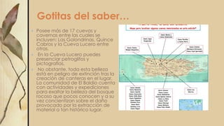 Gotitas del saber…
 Posee más de 17 cuevas y
cavernas entre las cuales se
incluyen: Las Golondrinas, Quince
Cabros y la Cueva Lucero entre
otras.
 En la Cueva Lucero puedes
presenciar petroglifos y
pictografías.
 No obstante, toda esta belleza
está en peligro de extinción tras la
creación de canteras en el lugar.
La comunidad de El Baldío cuenta
con actividades y expediciones
para exaltar la belleza del bosque
rocoso que pocos conocen y a su
vez concientizan sobre el daño
provocado por la extracción de
material a tan histórico lugar.
 