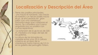 Localización y Descripción del Área
 Tiene dos pasillos principales:
uno hacia el noroeste, otro hacia
el noreste y un tercer pasillo hacia
el sur, se encuentran en gran
salón con una claraboya,
formada luego que colapsara el
techo. Se considera una cueva
angulada por sus pasillos con
curvas repentinas.
 La extensión de la gruta es de 220
m, medidos a lo largo del eje de
las galerías.
 La altura de las bóvedas es
variable entre unos 25 m (altura
máxima en el área de la
claraboya) hasta menos de 0.5 m
en la galería del petroglifo Tótem.
 