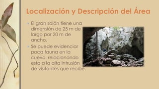 Localización y Descripción del Área
 El gran salón tiene una
dimensión de 25 m de
largo por 20 m de
ancho.
 Se puede evidenciar
poca fauna en la
cueva, relacionando
esto a la alta intrusión
de visitantes que recibe.
 