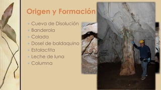 Origen y Formación
 Cueva de Disolución
 Banderola
 Colada
 Dosel de baldaquino
 Estalactita
 Leche de luna
 Columna
 