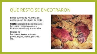 QUE RESTO SE ENCOTRARON
En las cuevas de Altamira se
encontraron dos tipos de resto
Restos arqueológicos:Restos so
lutrenses y magdalenienses.
Pinturas rupestres y arte mueble
Restos no
humanos:Restos animales:
patela, bígaro, cierva, pescado,
etc.
 