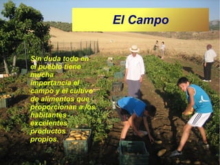 El Campo
Sin duda todo en
el pueblo tiene
mucha
importancia el
campo y el cultivo
de alimentos que
proporcionan a los
habitantes
excelentes
productos
propios.

 