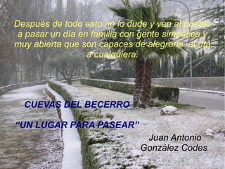 Después de todo esto no lo dude y ven al pueblo
a pasar un día en familia con gente simpática y
muy abierta que son capaces de alegrarle el día
a cualquiera.

CUEVAS DEL BECERRO
“UN LUGAR PARA PASEAR”
Juan Antonio
González Codes

 