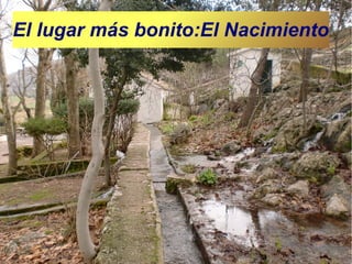 El lugar más bonito:El Nacimiento

 