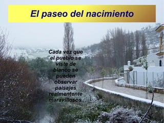 El paseo del nacimiento

Cada vez que
el pueblo se
viste de
blanco se
pueden
observar
paisajes
realmentente
maravillosos.

 
