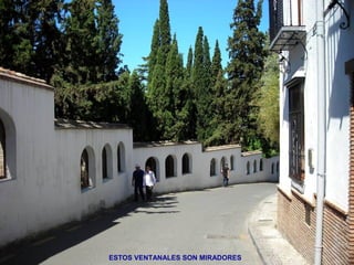 ESTOS VENTANALES SON MIRADORES
 