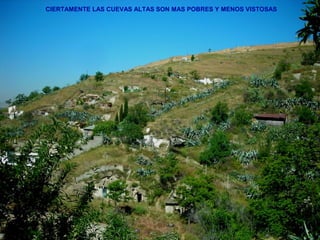 CIERTAMENTE LAS CUEVAS ALTAS SON MAS POBRES Y MENOS VISTOSAS
 