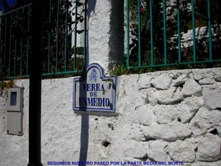 SEGUIMOS NUESTRO PASEO POR LA PARTE MEDIA DEL MONTE
 