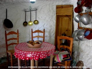 ENTRANDO EN ELLAS PODEMOS HACERNOS UNA IDEA DE CÓMO ES EL MODO DE VIDA
 