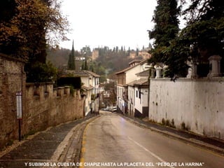 Y SUBIMOS LA CUESTA DE CHAPIZ HASTA LA PLACETA DEL “PESO DE LA HARINA”
 