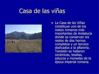 Casa de las viñas La Casa de las Viñas constituye uno de los restos romanos más importantes de Andalucía donde se conservan los restos de dos hornos completos y un tercero dedicados a la alfarería. También se hallaron cerámicas, teselas, estucos y monedas de la época imperial romana.  
