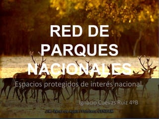 RED DE
PARQUES
NACIONALES
Espacios protegidos de interés nacional
Ignacio Cuevas Ruiz 4ºB
 